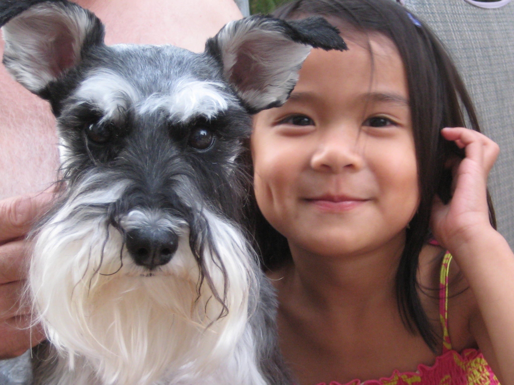 5 Corners Animal Hospital in Orchard Park, NY