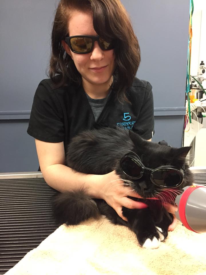 Class IV laser therapy is an innovative treatment for chronic health conditions like arthritis